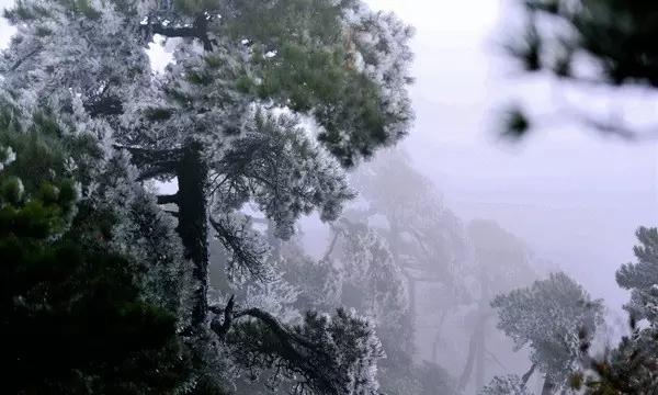 小米澎湃OS创纪录!中国手机地震监测预警网首次成功预警地震